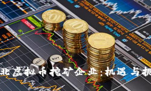 河北虚拟币挖矿企业：机遇与挑战